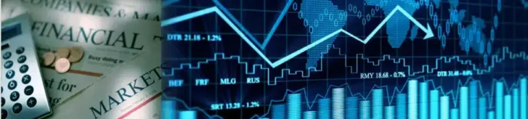 Finance and Accounting Support through a Merger